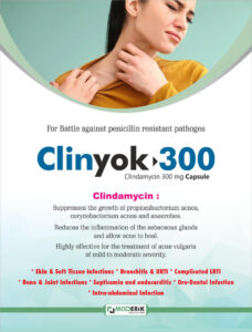 Clinyok-300