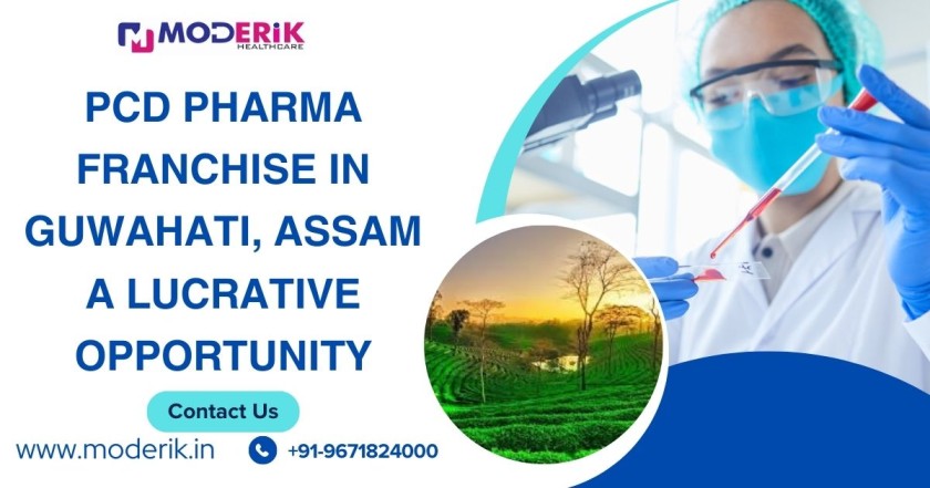 PCD Pharma Franchise in Guwhati , Assam